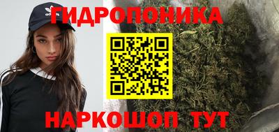 прущие крисы Новокубанск