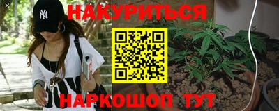 соль ск Новозыбков